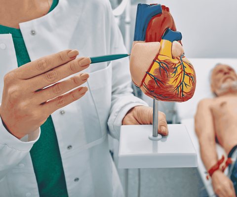 Cardio Health at Health Cure Trick